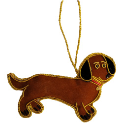 Brown Dachshund